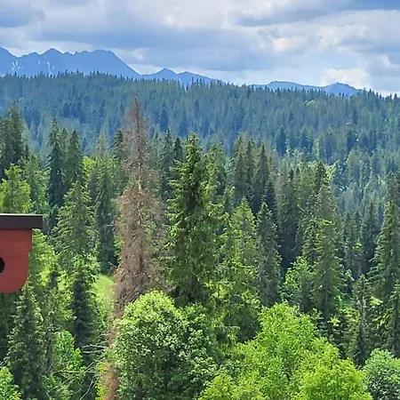 Jedla Miejsce Goscinne