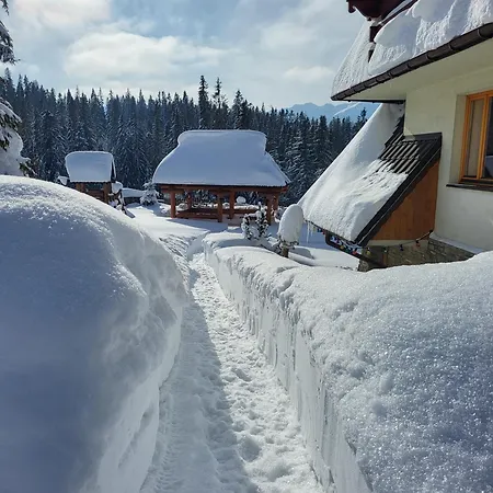 Jedla Miejsce Goscinne Bukowina Tatrzańska