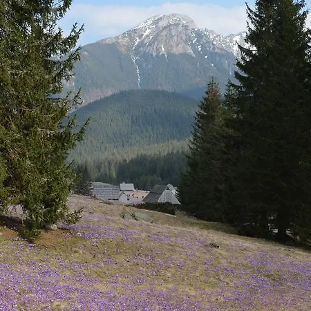 Jedla Miejsce Goscinne 3*