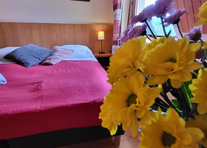 Jedla Miejsce Goscinne