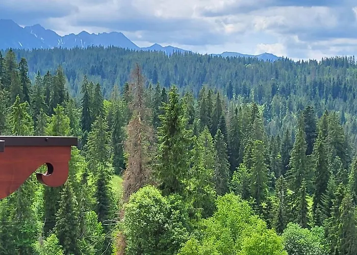 Jedla Miejsce Goscinne