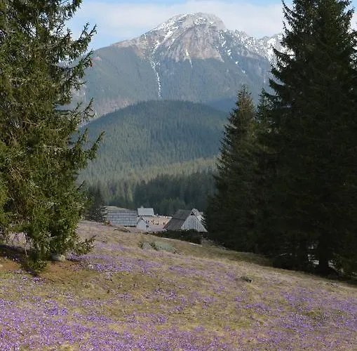 Jedla Miejsce Goscinne 3*