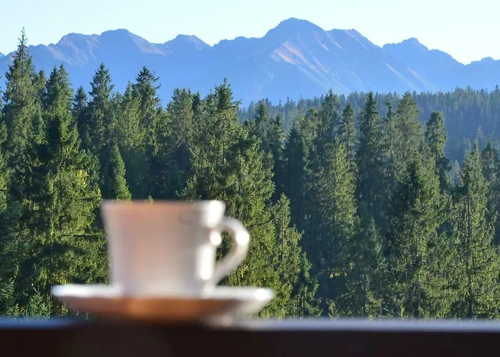 Bed and breakfast Jedla Miejsce Goscinne Bukowina Tatrzańska